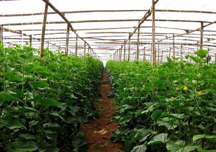 【名家新作】史東林｜詩友太行相聚有寄