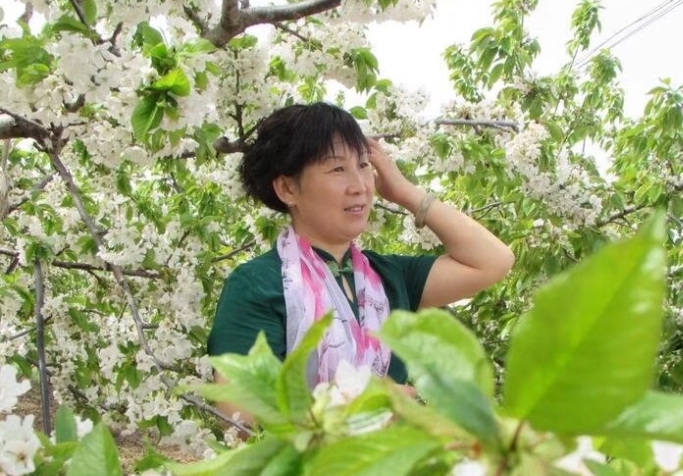 微信截圖_20250629164340